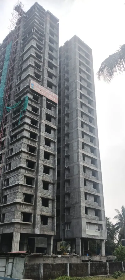 Confident Ebony Project Schedule on 05th January 2026