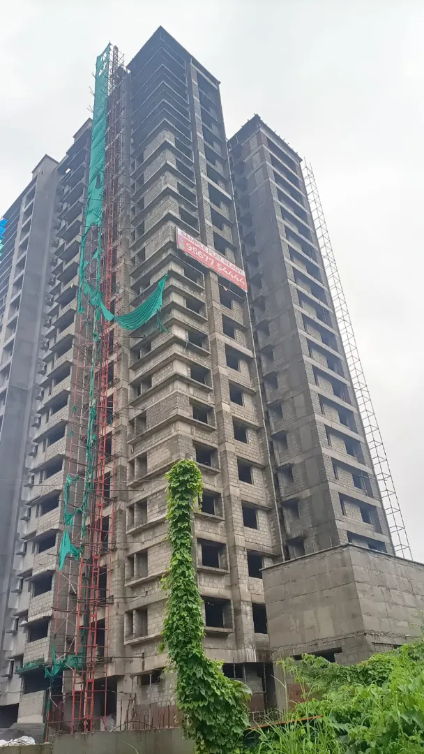 Confident Ebony Project Schedule on 3rd August 2026