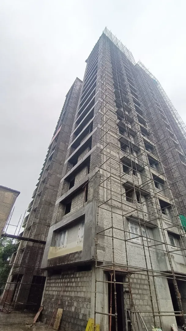 Confident Ebony Project Schedule on 3rd August 2026