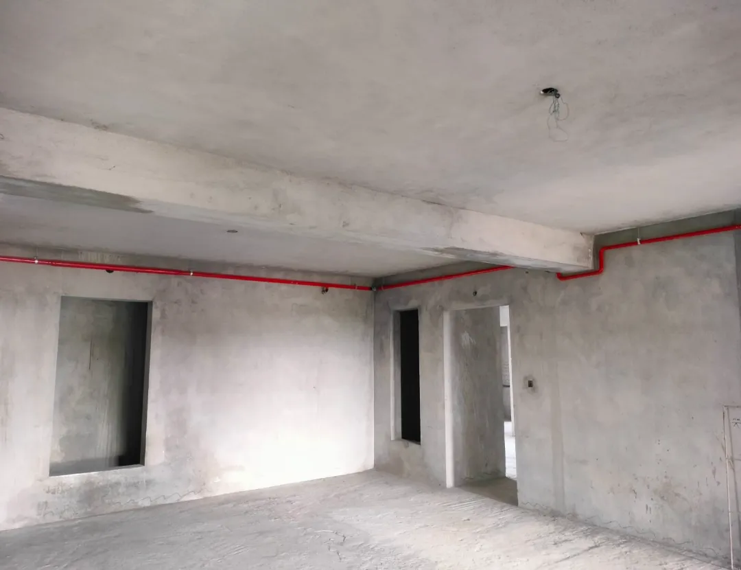 Confident Ebony Project Schedule on 05th April  2026