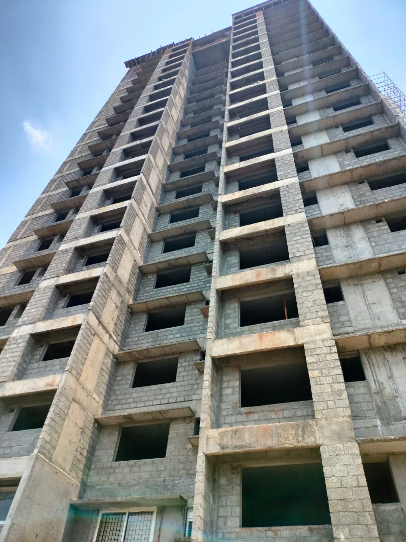 Confident Ebony Project Schedule on 05th April  2026