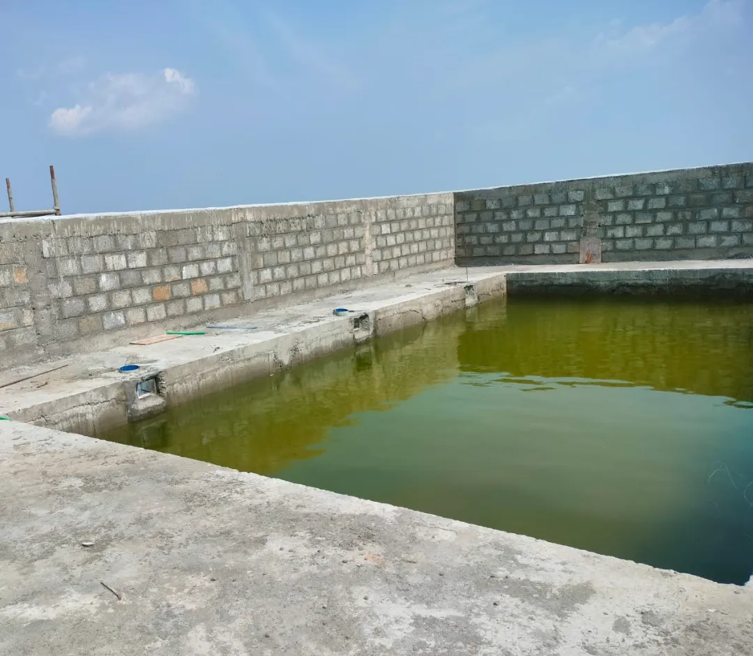 Confident Ebony Project Schedule on 05th April  2026