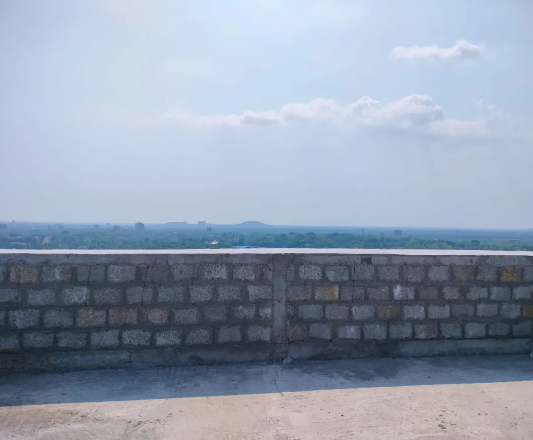 Confident Ebony Project Schedule on 05th April  2026