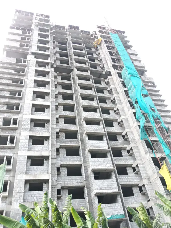 Confident Ebony Project Schedule on 08th September 2025