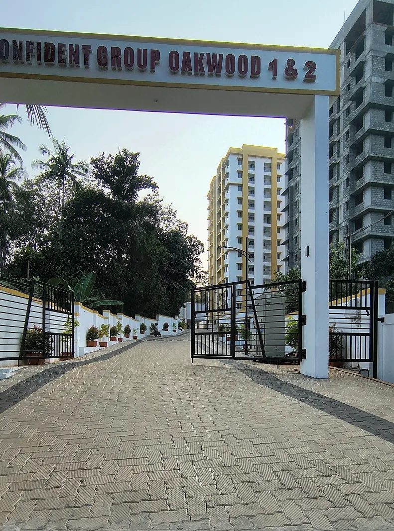 Confident Oakwood Project Schedule on 8th January 2026