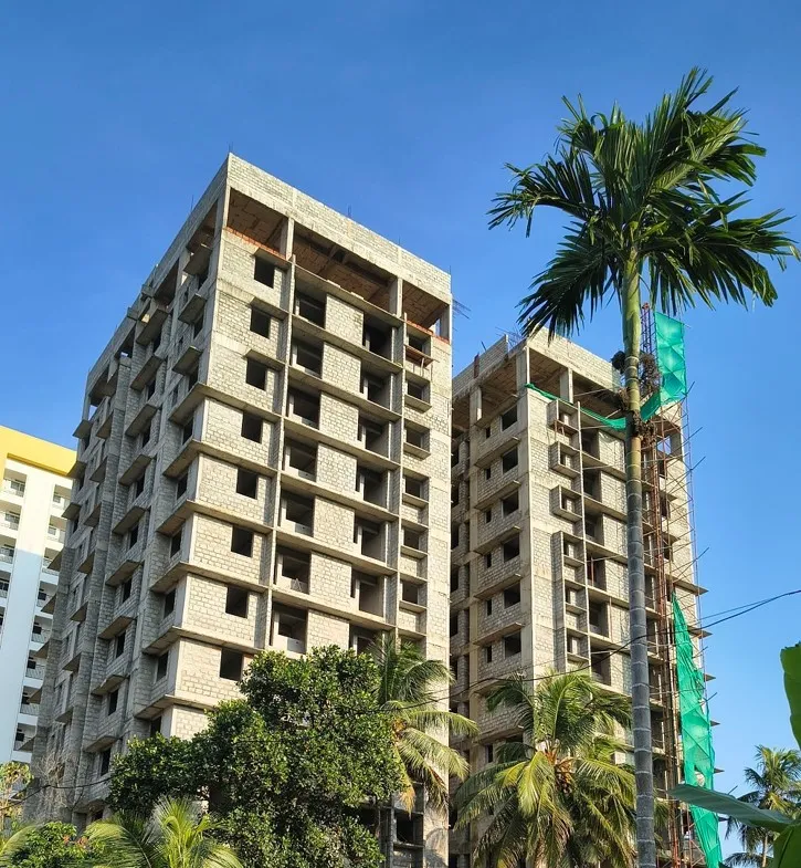 Confident Oakwood Project Schedule on 11th December 2025