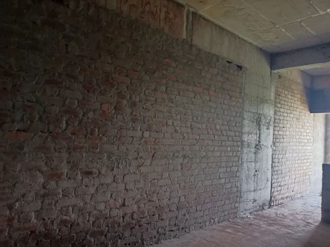 Confident Pioneer Project Schedule on 6th January 2026