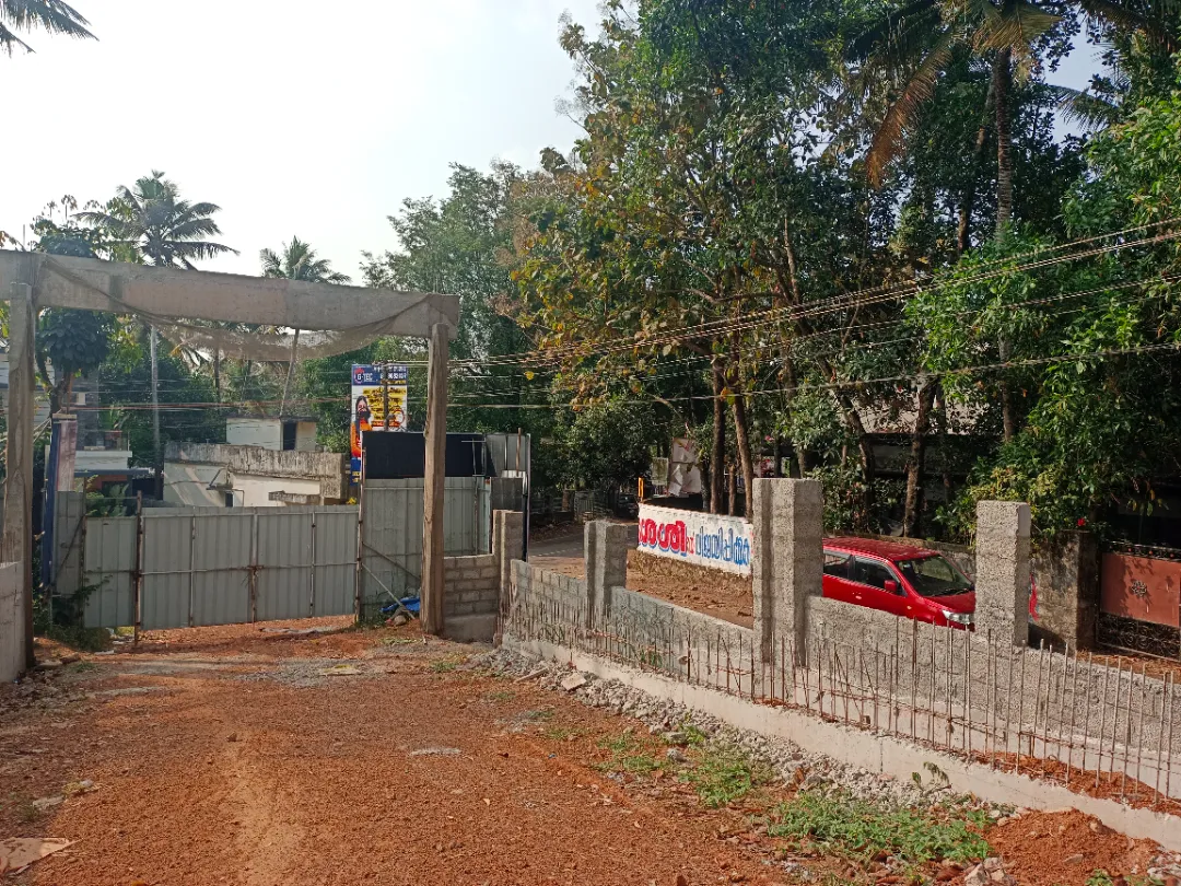 Confident Pioneer Project Schedule on 6th January 2026