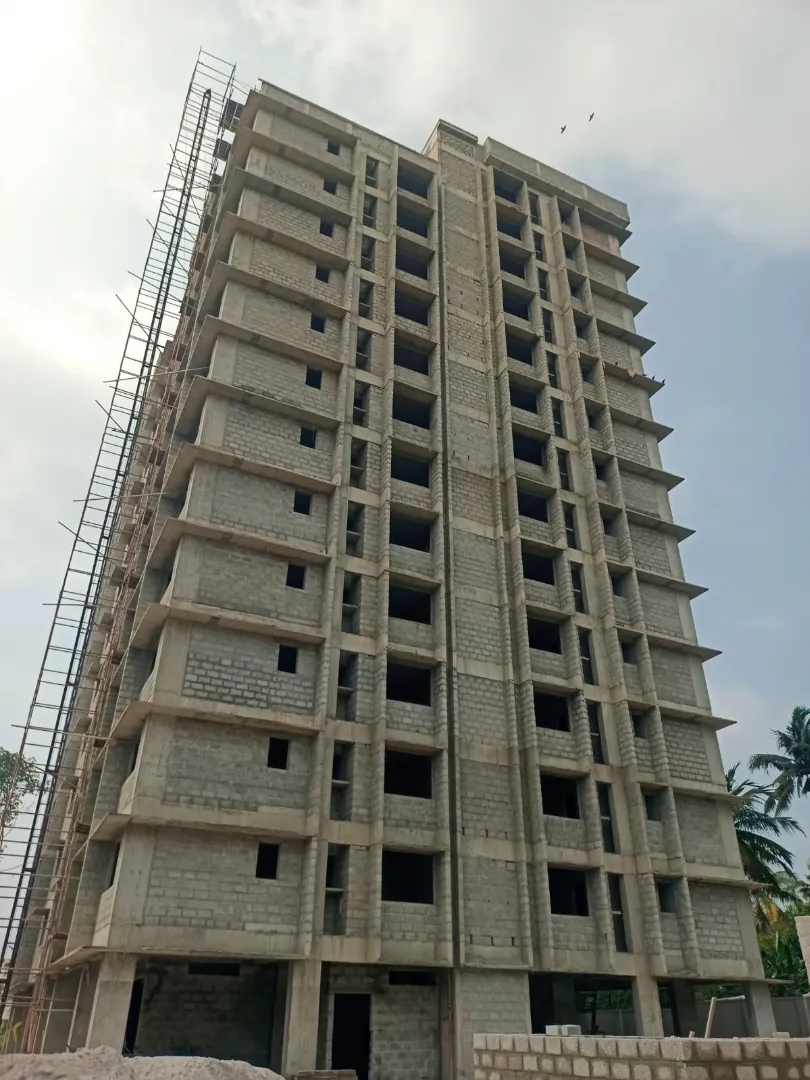 Confident Pioneer Project Schedule on 6th January 2026