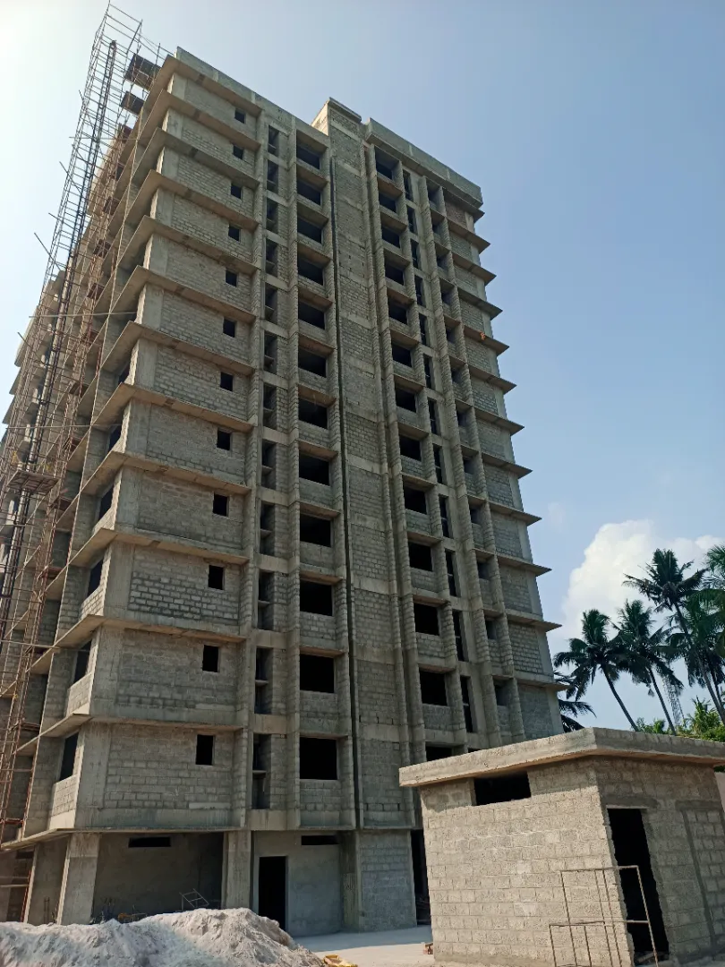 Confident Pioneer Project Schedule on 6th January 2026