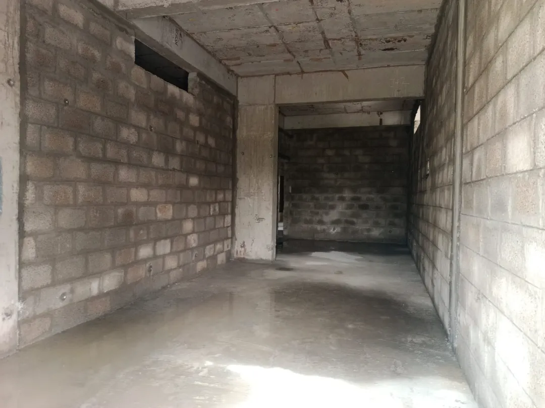 Confident Pioneer Project Schedule on 6th January 2026