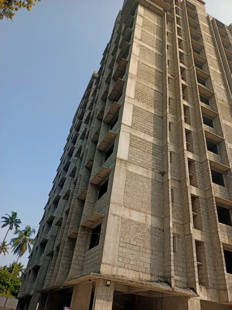 Confident Pioneer Project Schedule on 6th January 2026