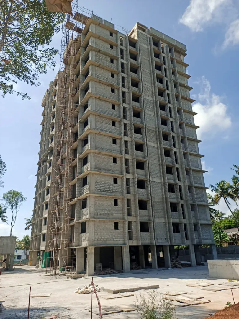 Confident Pioneer Project Schedule on 6th January 2026