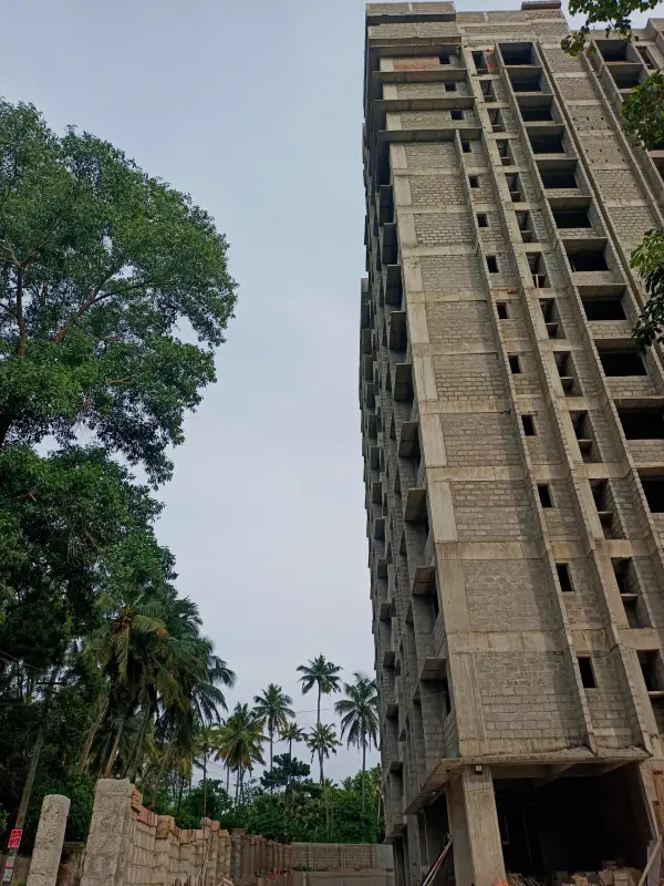 Confident Pioneer Project Schedule on November 6th, 2025