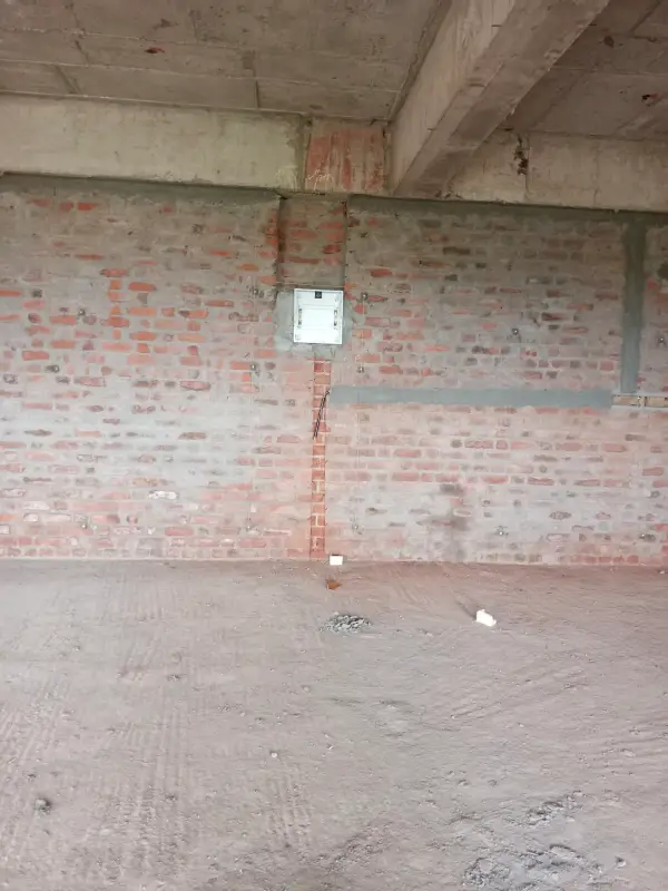 Confident Pioneer Project Schedule on November 6th, 2025