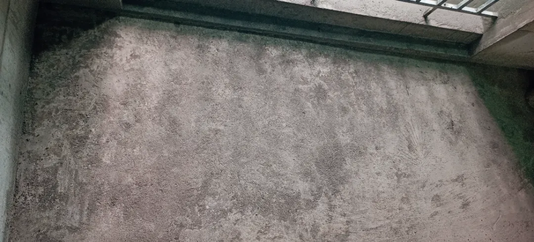 Confident Pioneer Project Schedule on 6th April 2026