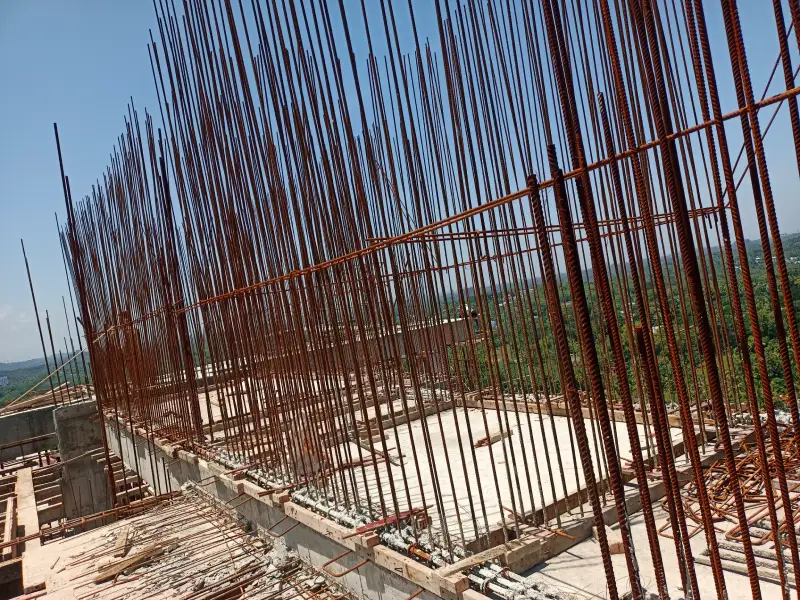 Confident Pioneer Project Schedule on August 7th, 2025
