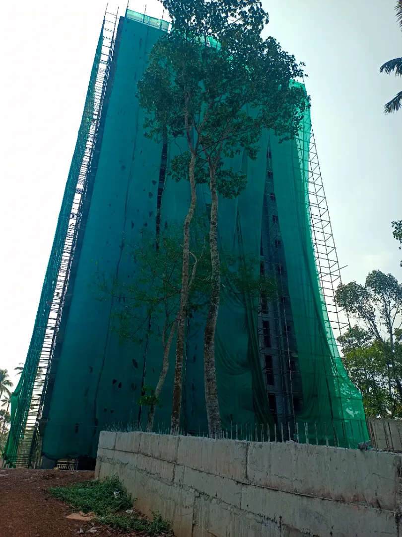 Confident Pioneer Project Schedule on 6th March 2026