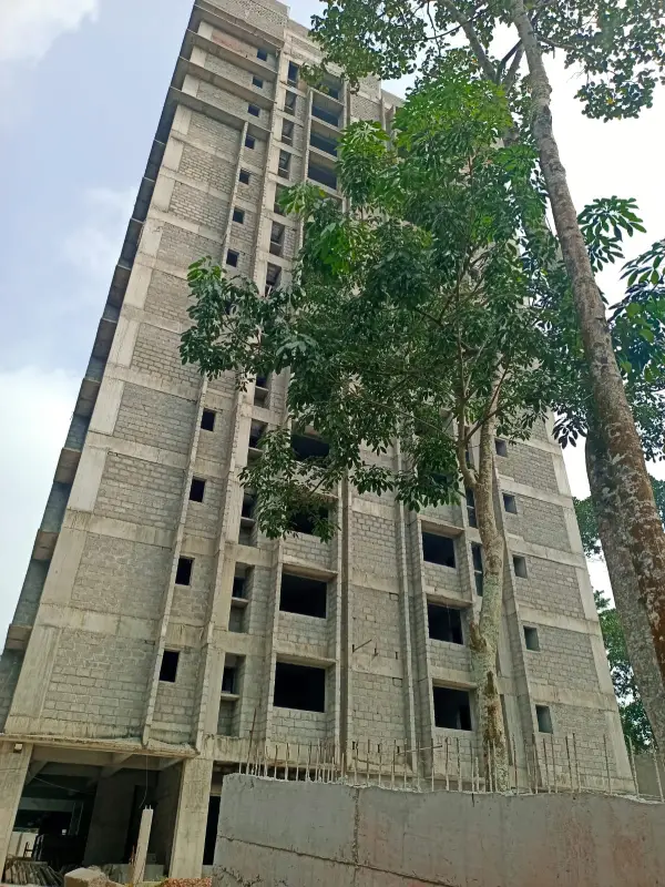 Confident Pioneer Project Schedule on December 16th, 2025