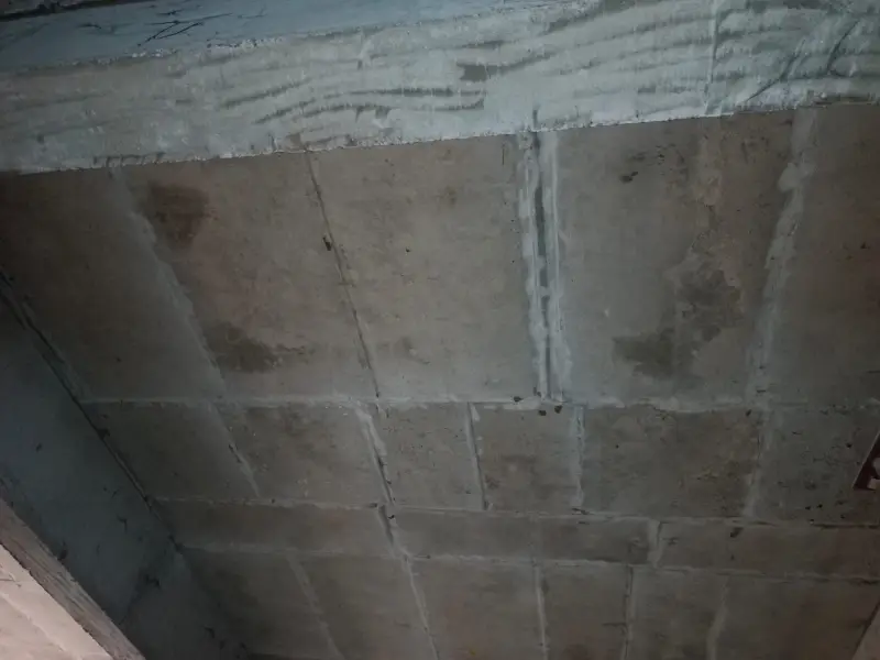 Confident Pioneer Project Schedule on December 16th, 2025