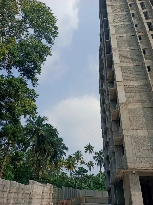 Confident Pioneer Project Schedule on December 16th, 2025