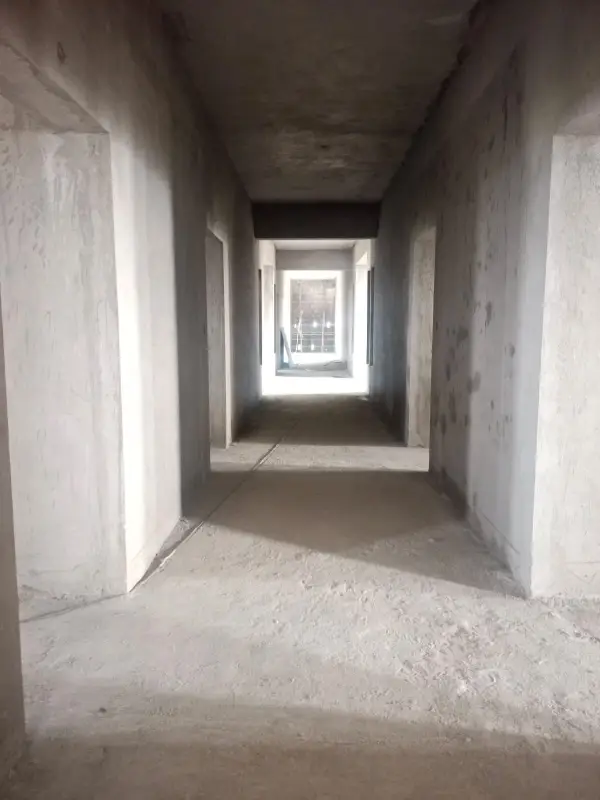 Confident Pioneer Project Schedule on December 16th, 2025