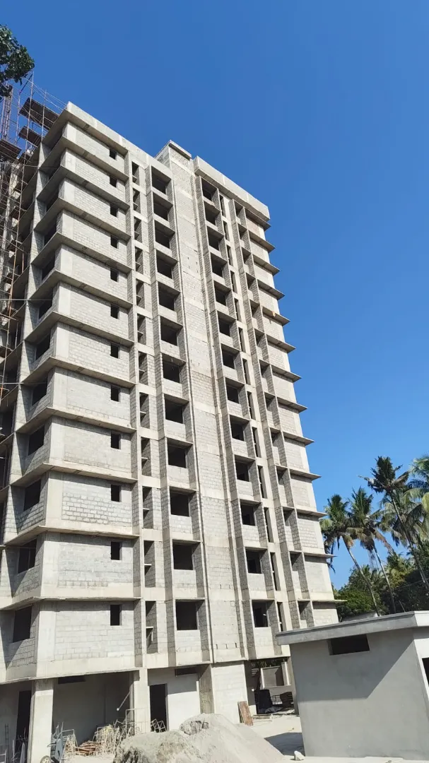 Confident Pioneer Project Schedule on 6th February 2026