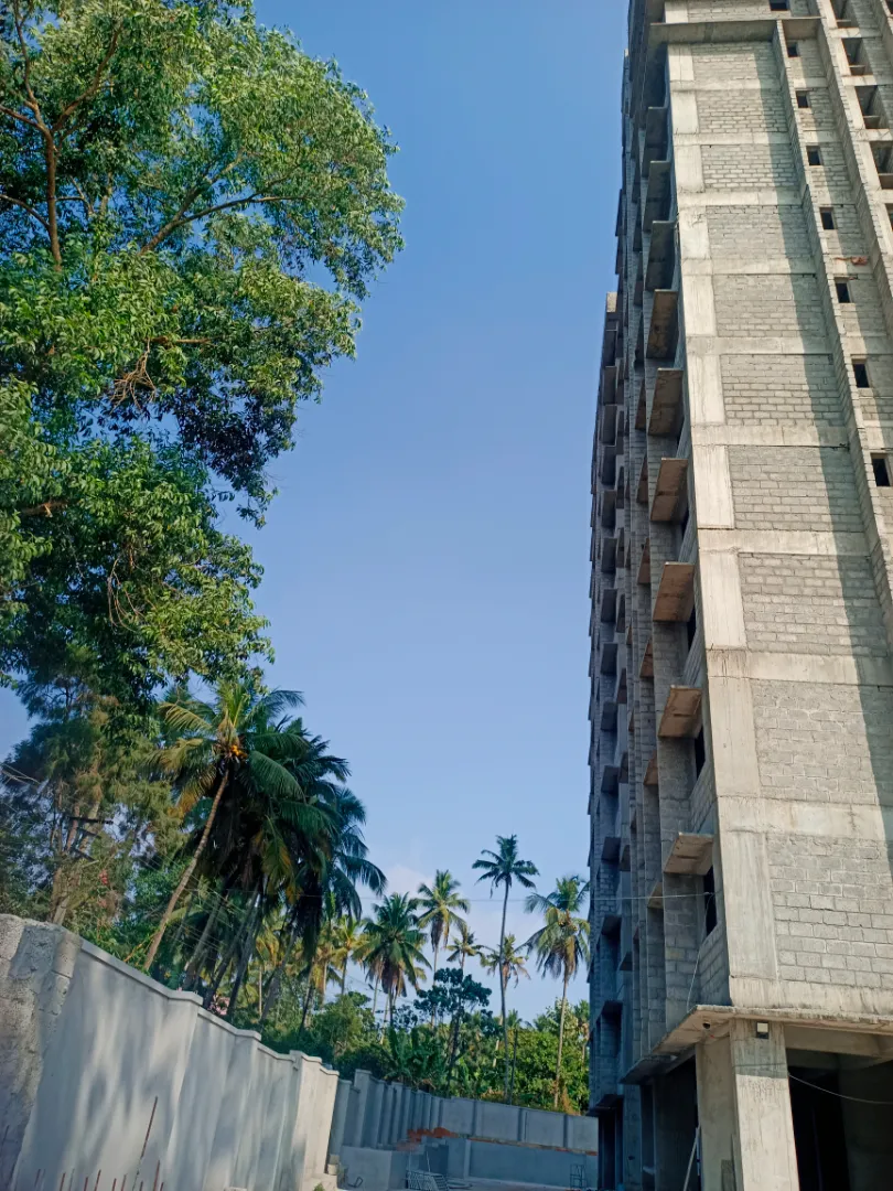 Confident Pioneer Project Schedule on 6th February 2026