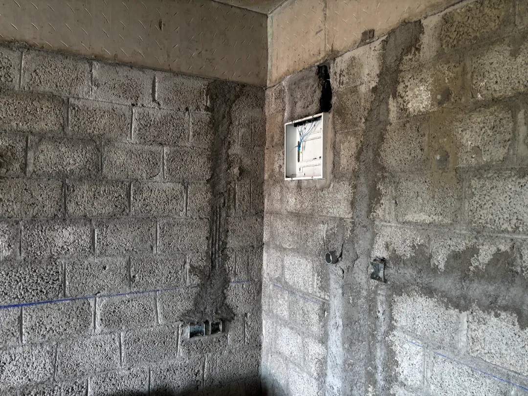 Confident Sunflower Project Schedule on 5th March 2026