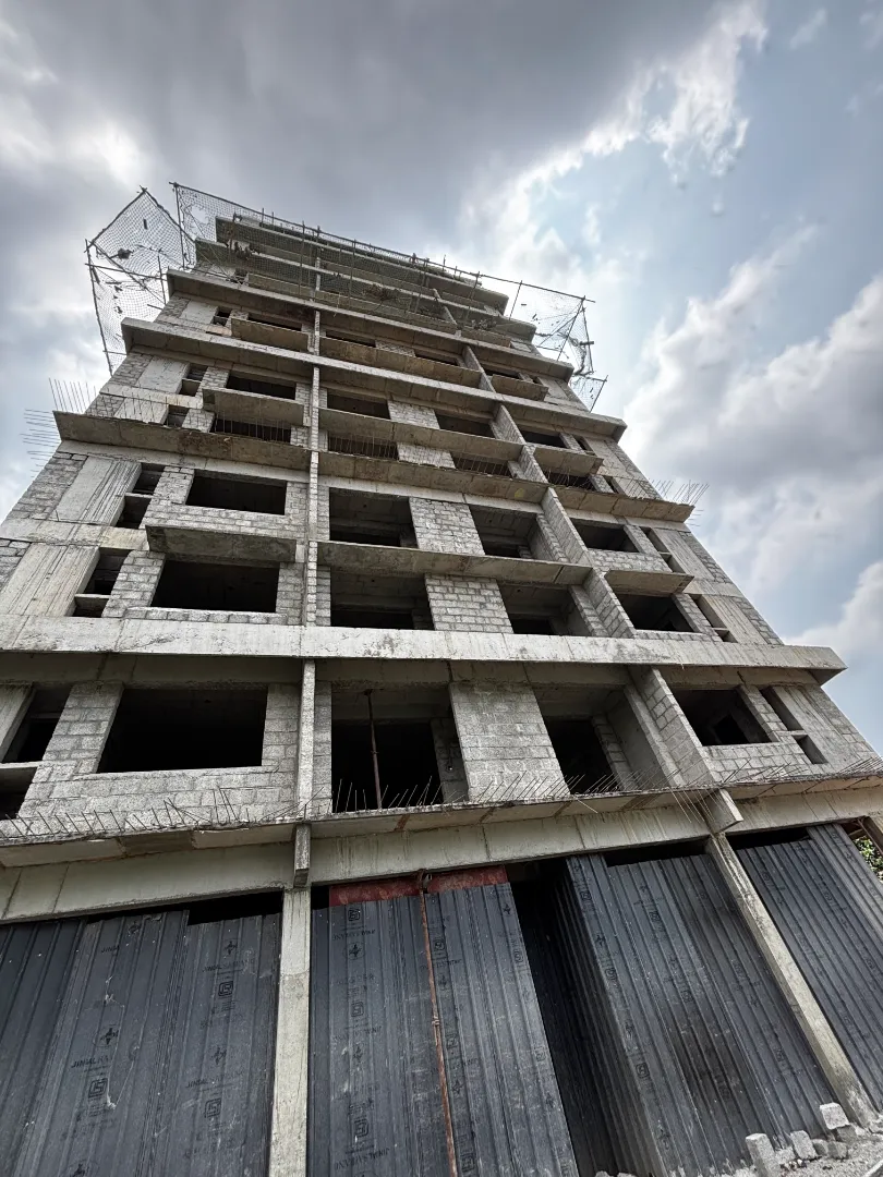 Confident Sunflower Project Schedule on 5th March 2026