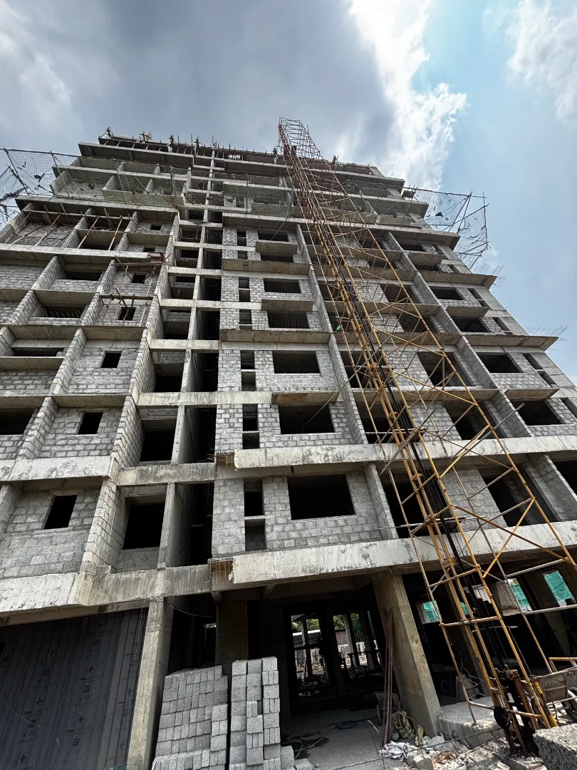 Confident Sunflower Project Schedule on 5th March 2026