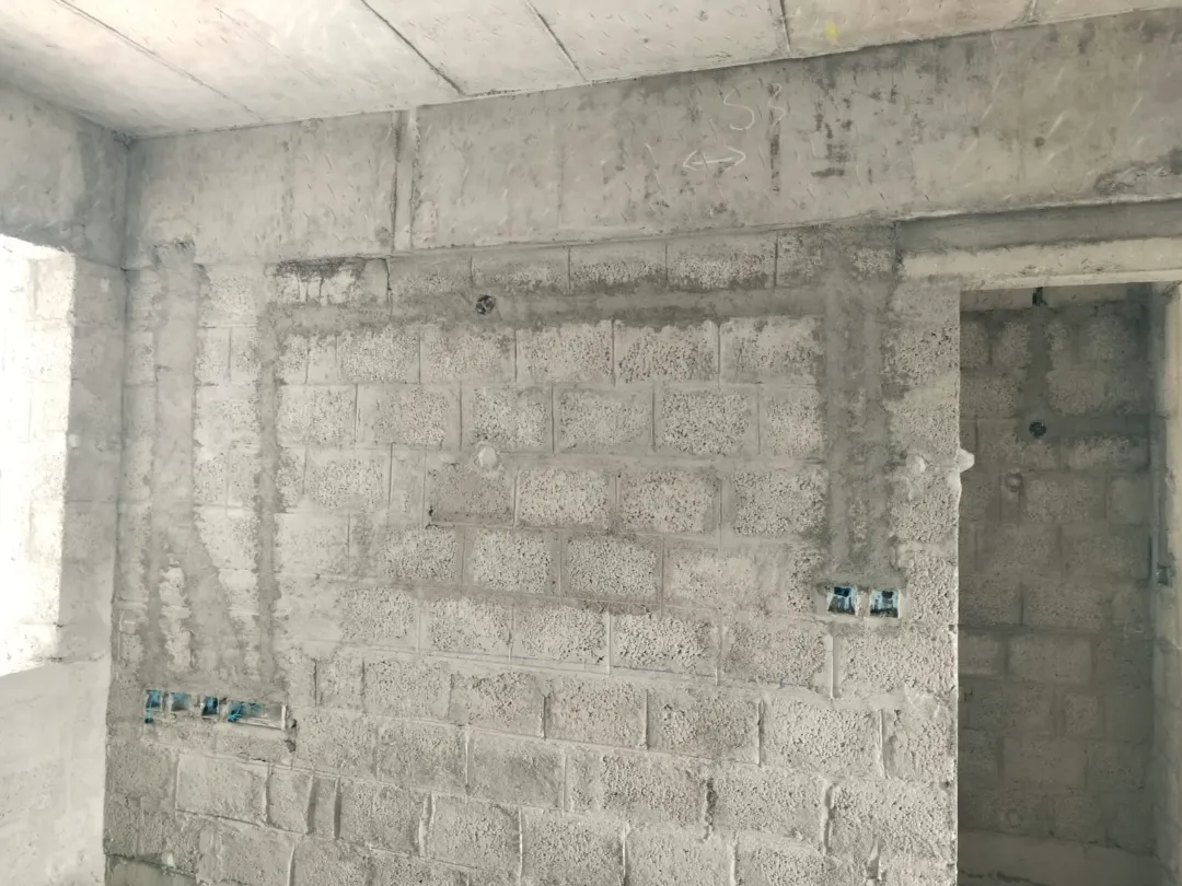 Confident Sunflower Project Schedule on 6th January 2026