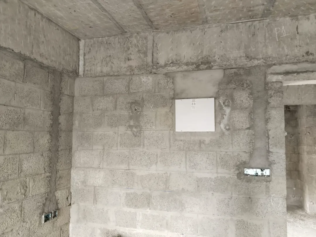 Confident Sunflower Project Schedule on 6th January 2026