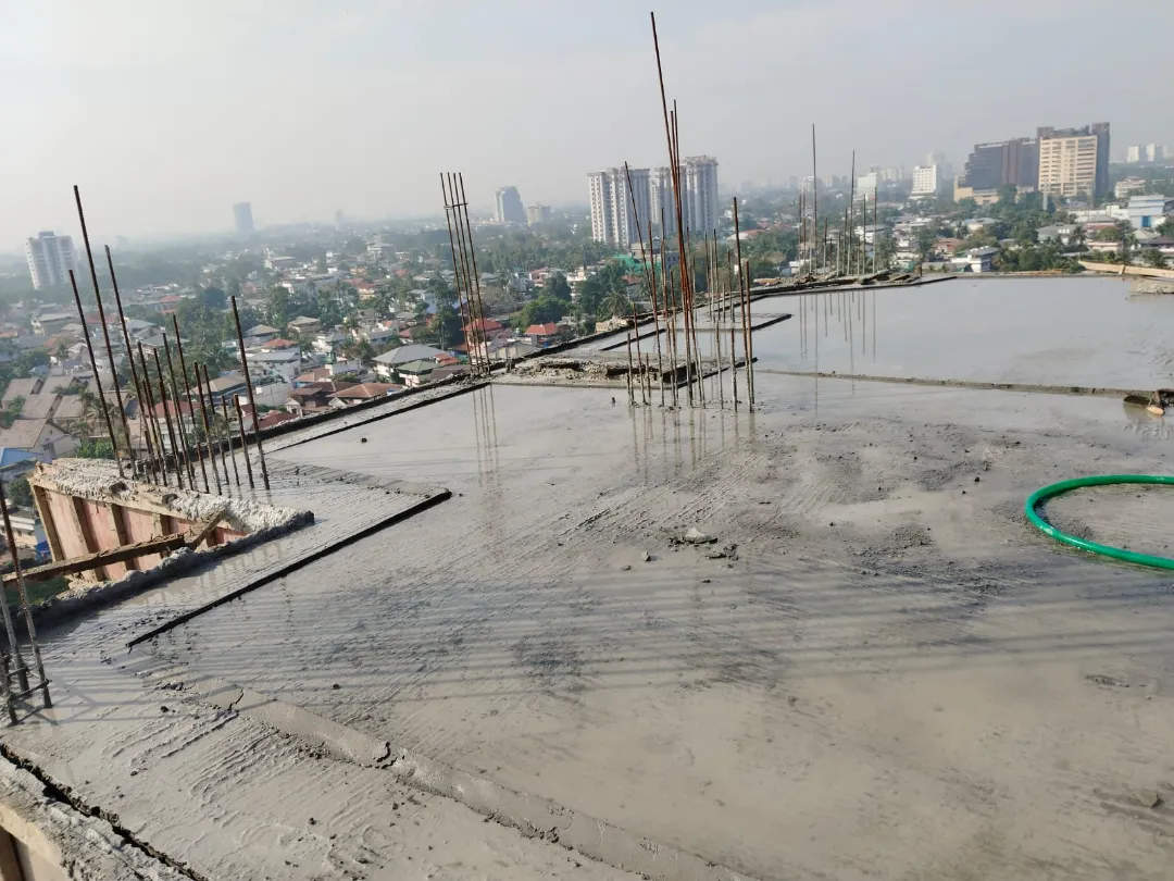 Confident Sunflower Project Schedule on 6th January 2026