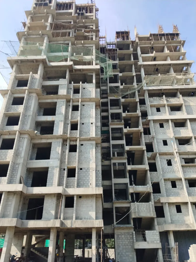 Confident Sunflower Project Schedule on 6th January 2026