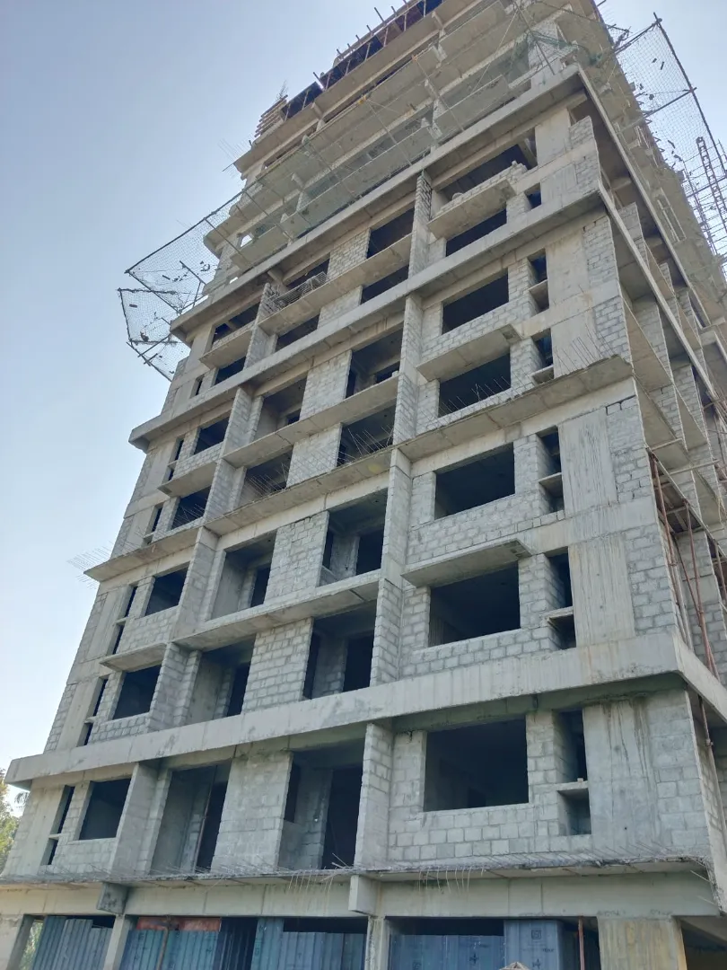 Confident Sunflower Project Schedule on 6th January 2026