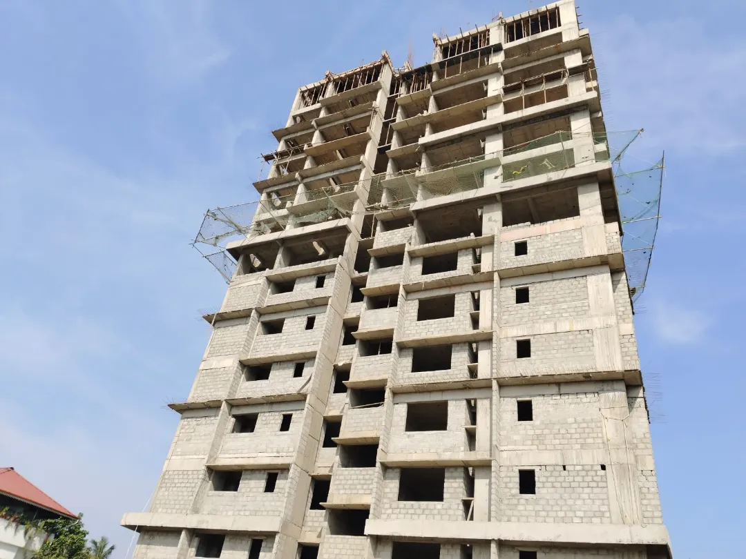 Confident Sunflower Project Schedule on 6th January 2026