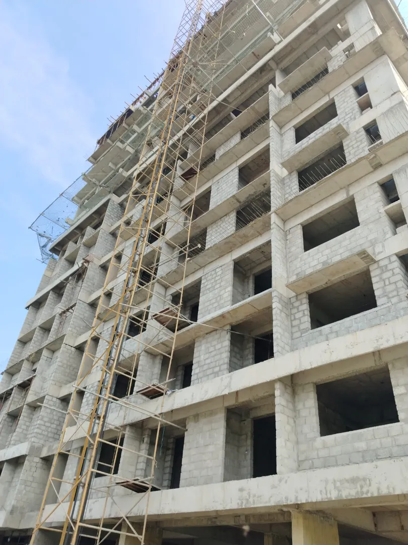 Confident Sunflower Project Schedule on 6th January 2026