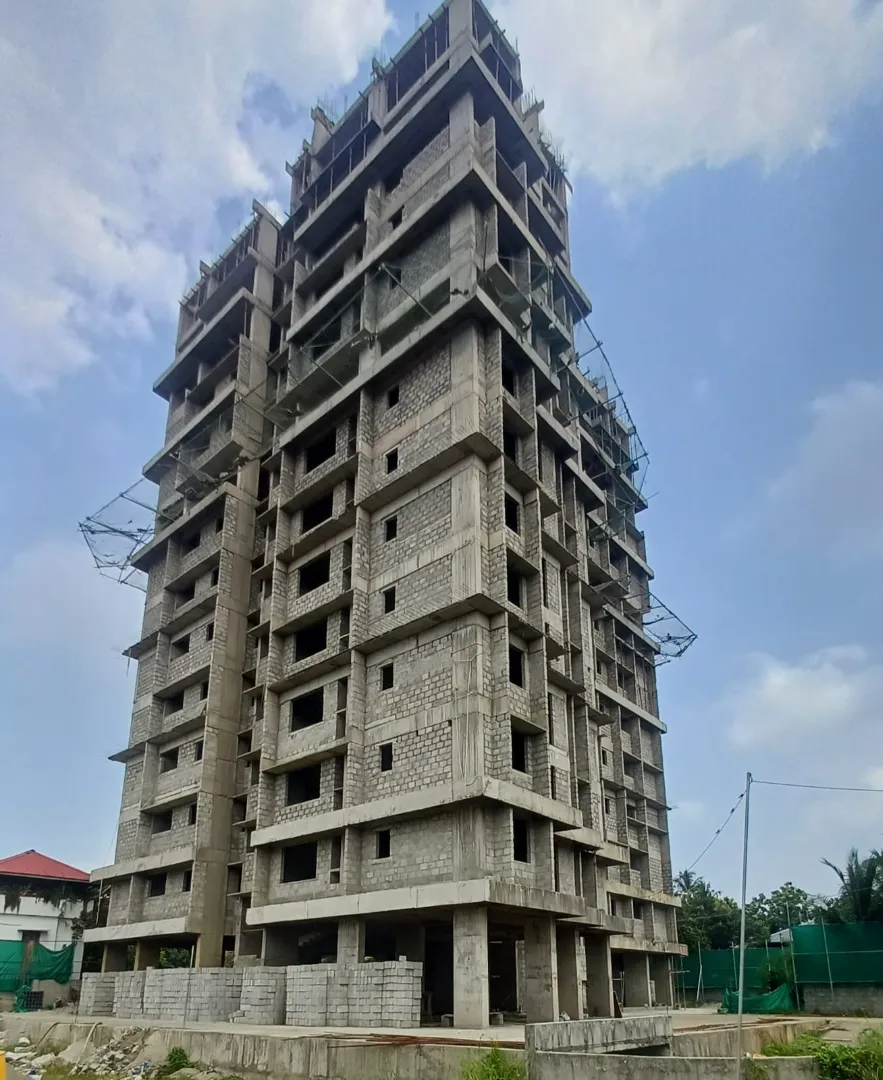 Confident Sunflower Project Schedule on 6th May 2026
