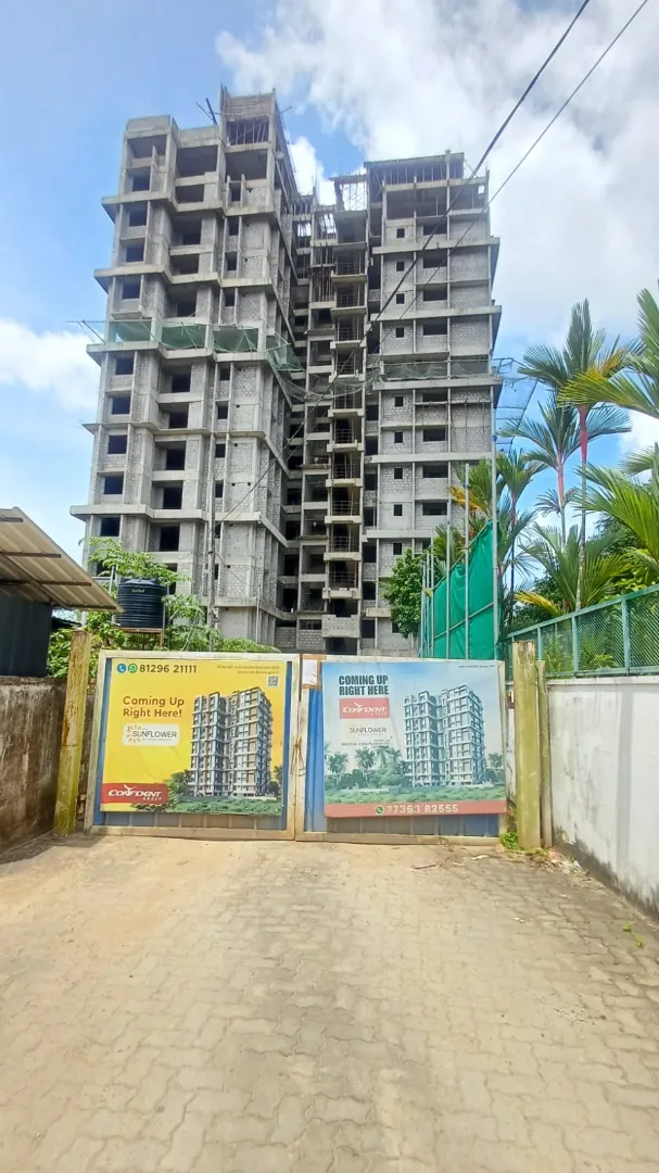 Confident Sunflower Project Schedule on 4th September 2026