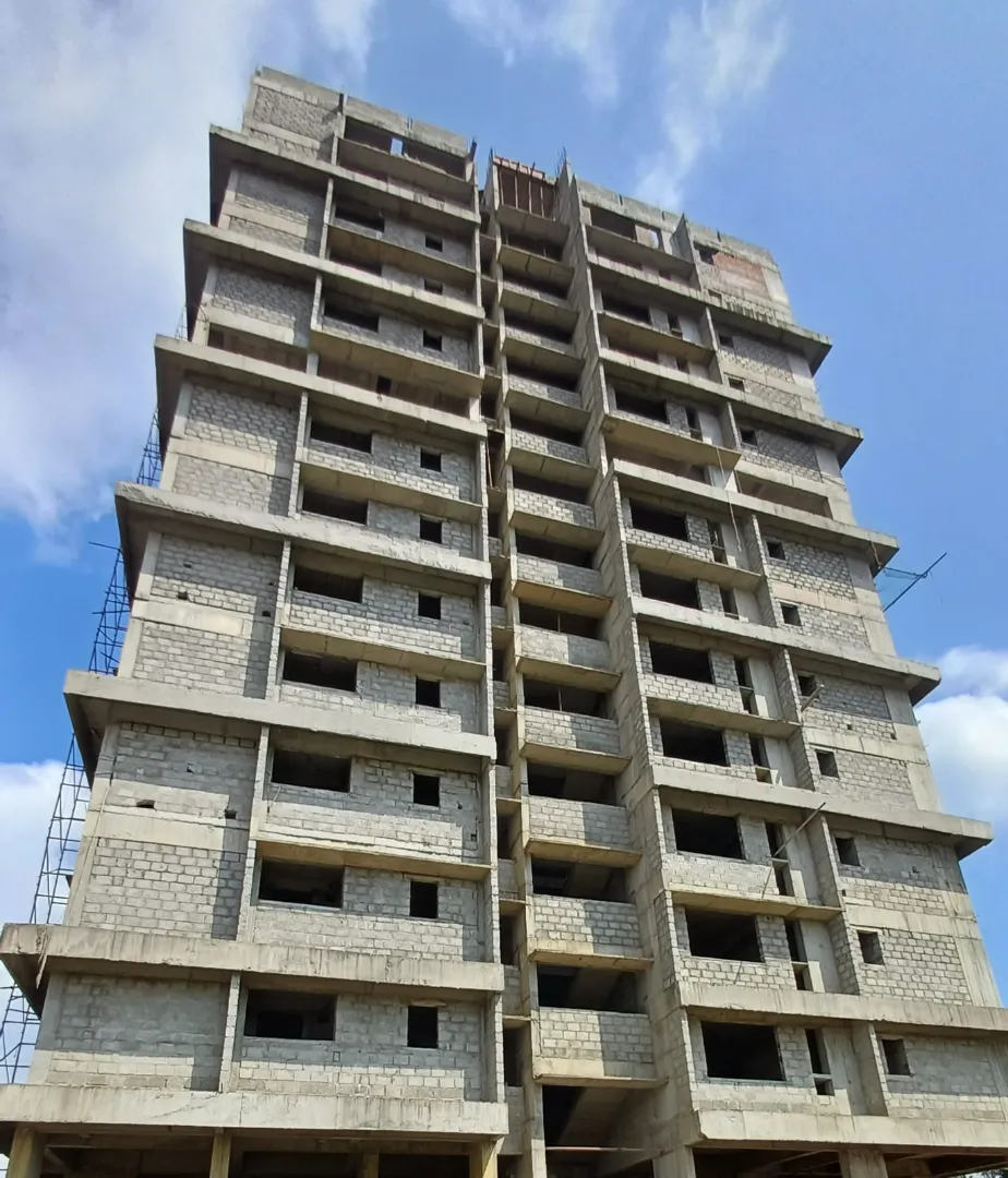 Confident Sunflower Project Schedule on 9th October 2026