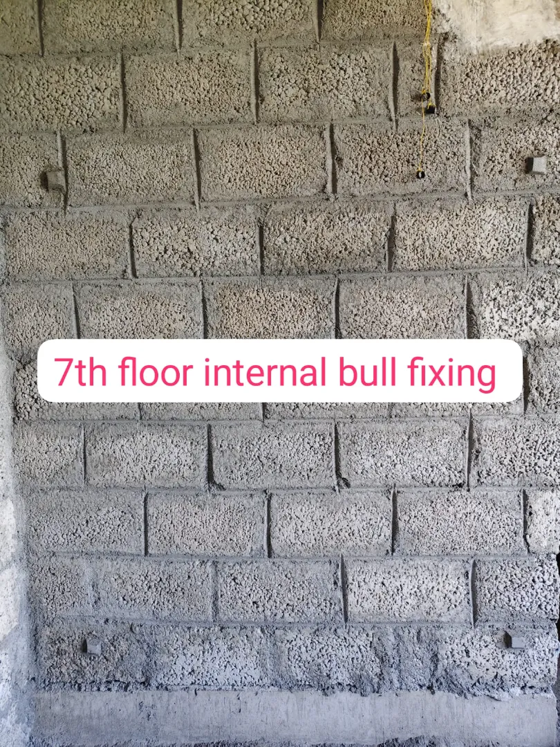 Confident Avenue Project Schedule on 8th January 2026