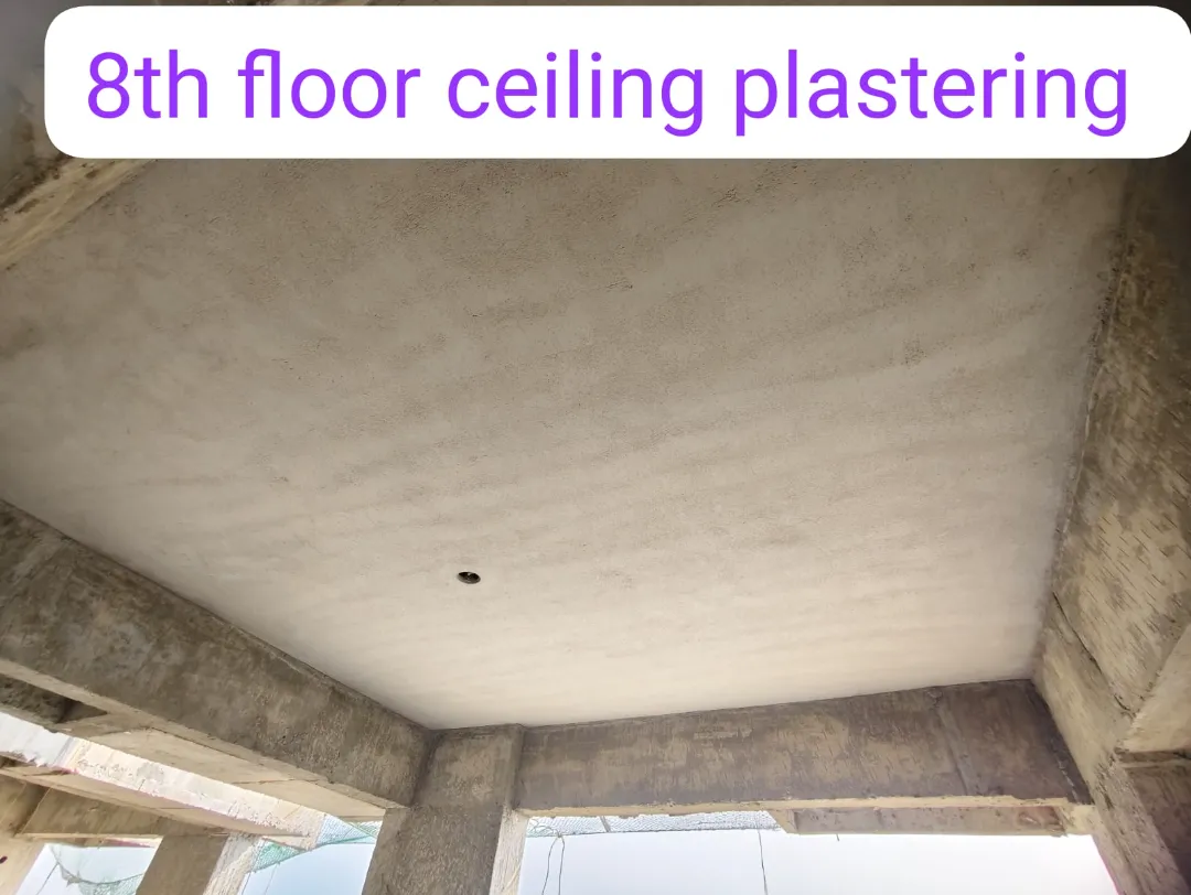 Confident Avenue Project Schedule on 8th January 2026