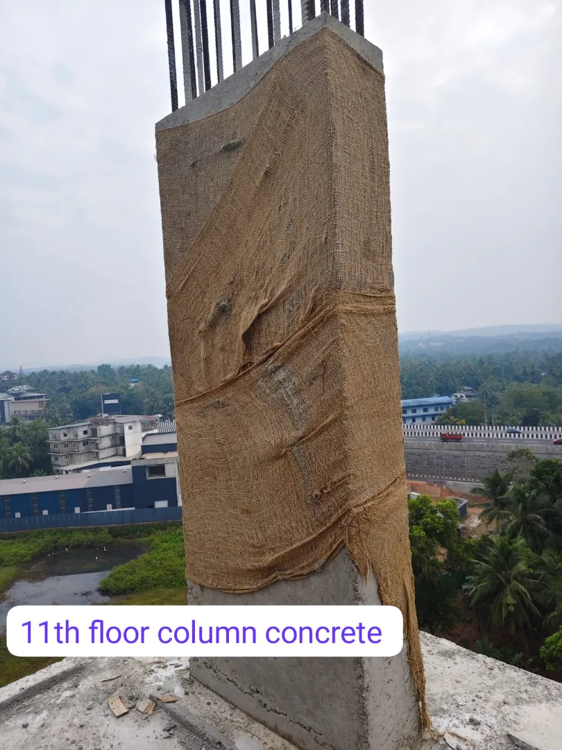 Confident Avenue Project Schedule on 8th January 2026