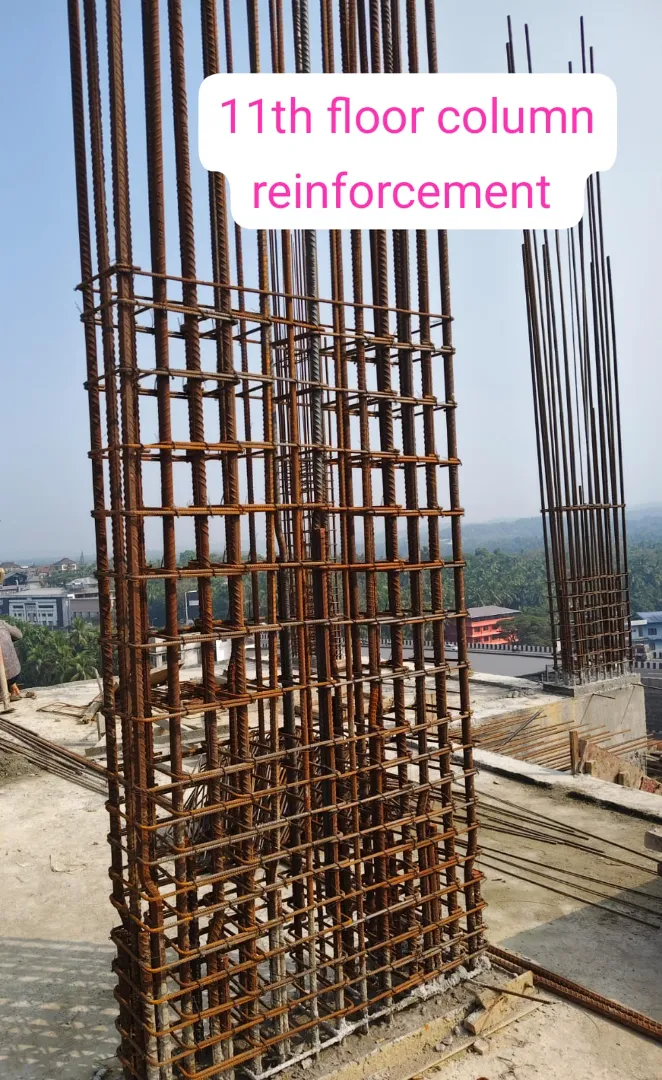 Confident Avenue Project Schedule on 8th January 2026