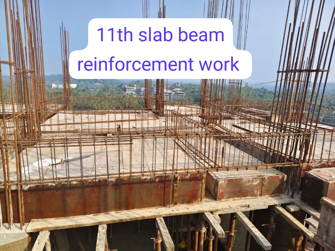 Confident Avenue Project Schedule on 8th January 2026