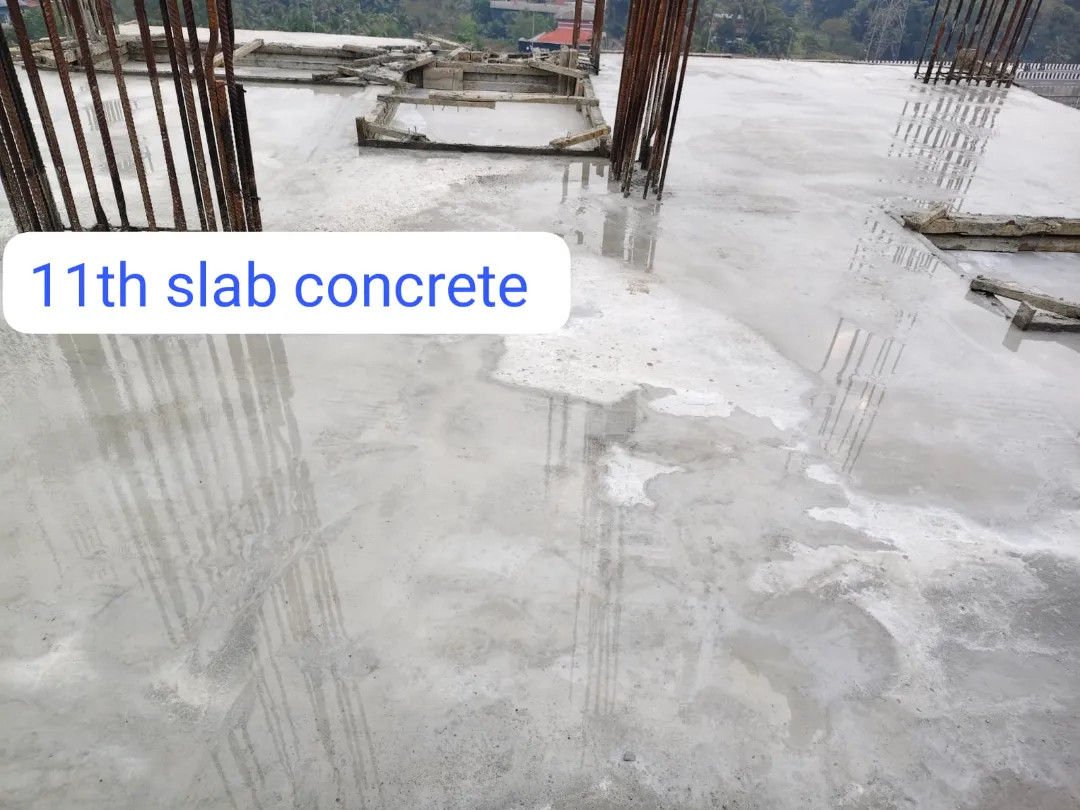 Confident Avenue Project Schedule on 8th January 2026