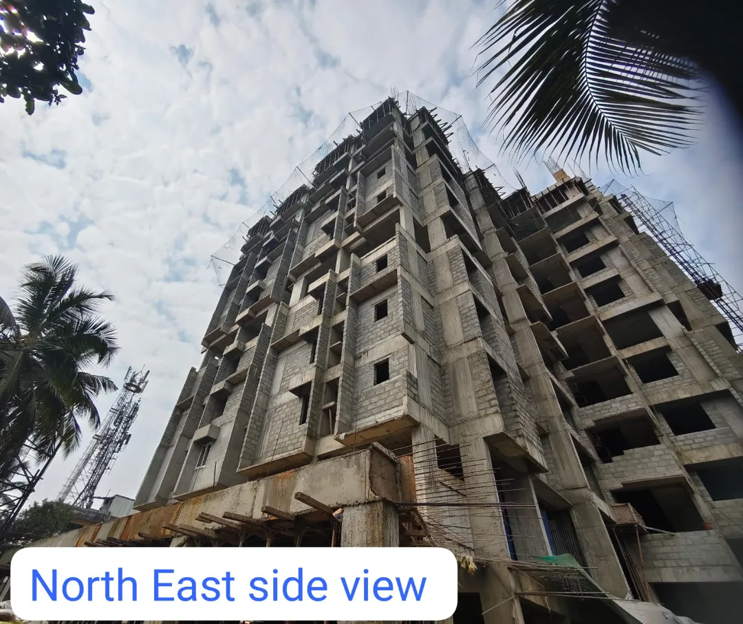 Confident Avenue Project Schedule on 8th January 2026