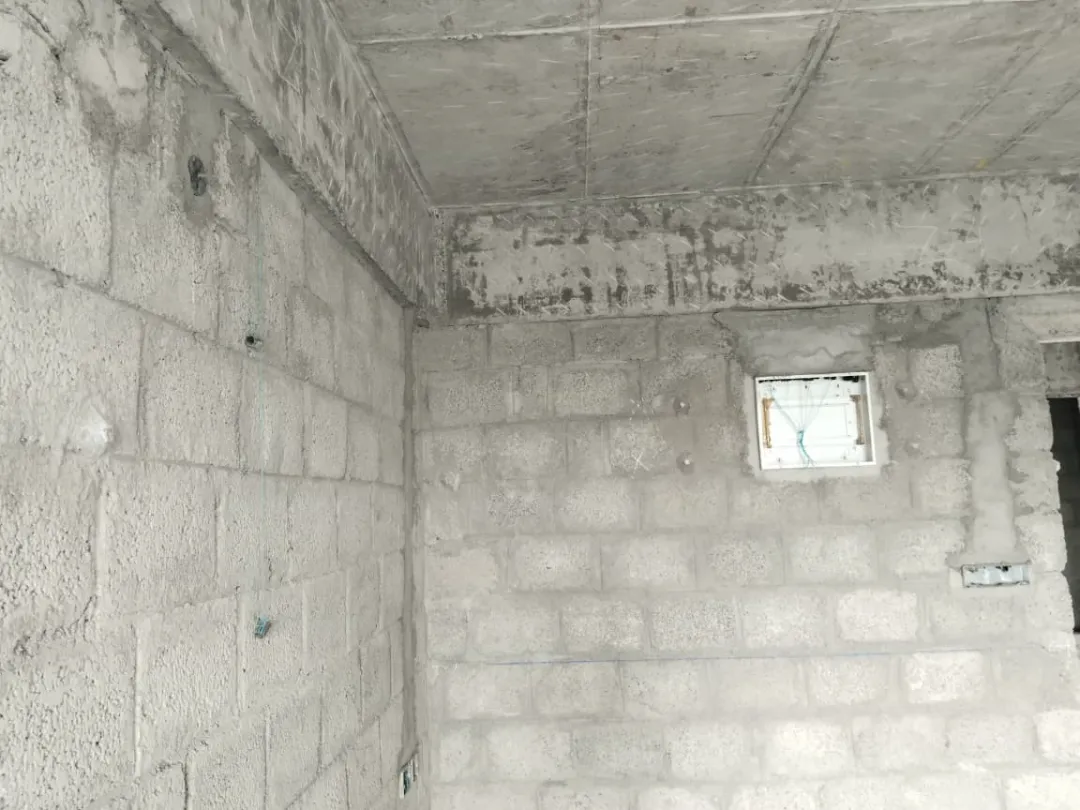 Confident Sunflower Project Schedule on 7th February 2026