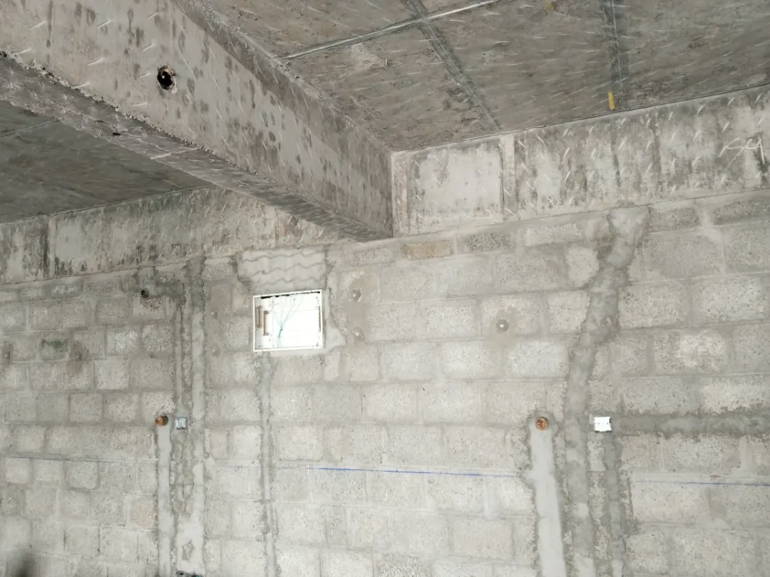 Confident Sunflower Project Schedule on 7th February 2026